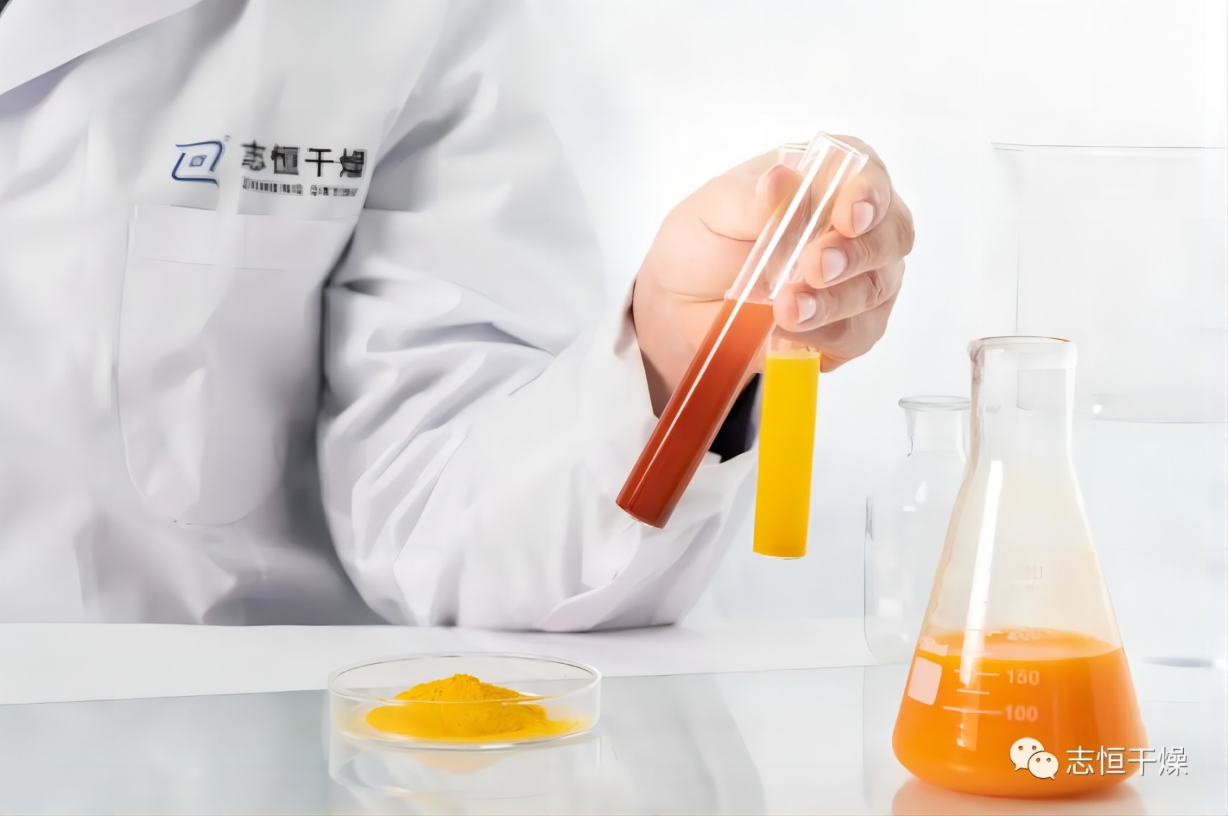 产品应用篇丨叶黄素！